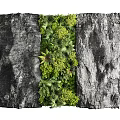 Living Plant Wall With Lush Diverse Green Plants Against Rock Background