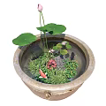 Terracotta Container Water Garden With Pink Water Lily And Lily Pads