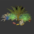 Green And Gold Palm Plants With Shells And White Pebbles Decorative Arrangement