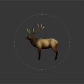 Majestic Brown Elk With Large Antlers Standing On Gray Background In Studio