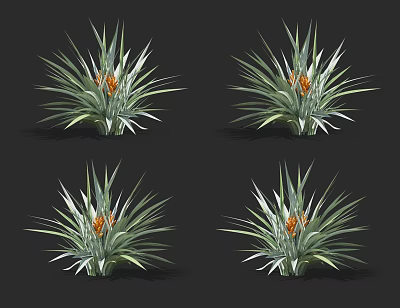 Four Tropical Potted Plants with Long Green Leaves and Bright Orange Center 3d model