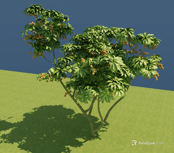 Lush Green Arbor With Dense Foliage Small Fruits Green Grassland And Blue Sky Background 3d model 