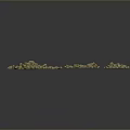 Piles of Green and Beige Wood and Stone Granules on Dark Background