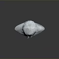 Gray Medical Anatomical Torso Model With Detailed Head And Marble Base