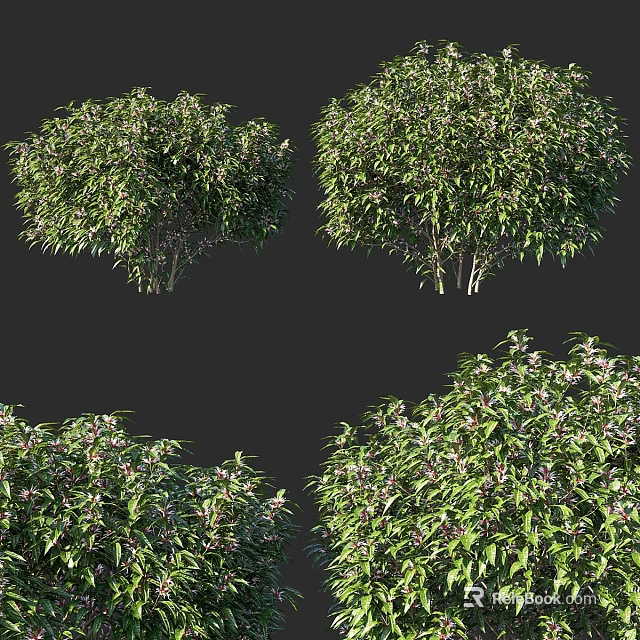 Decorative Ornament Set Including Green Shrubs and White Flowers for Indoor Decoration Various Angles 3d model 