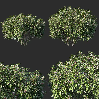 Decorative Ornament Set Including Green Shrubs and White Flowers for Indoor Decoration Various Angles 3d model
