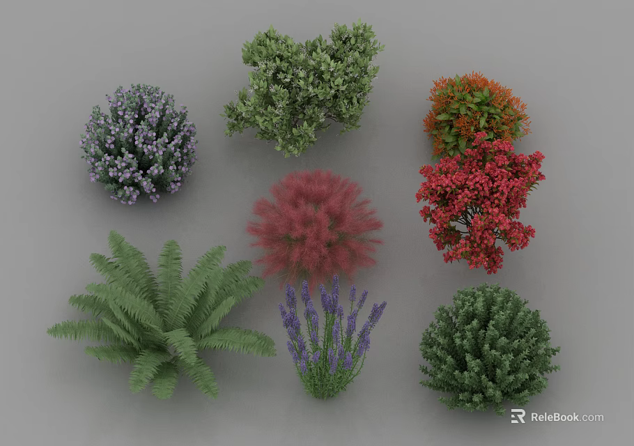 Various Colorful Garden Bushes with Different Shapes and Foliage Types 3d model 
