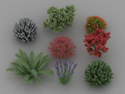 Various Colorful Garden Bushes with Different Shapes and Foliage Types 3d model
