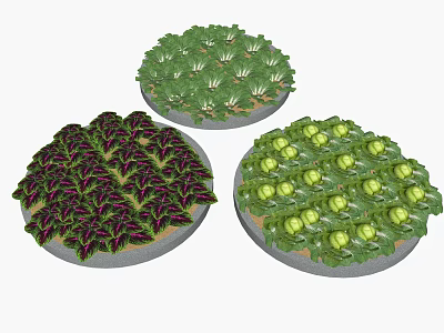 Modern Vegetable Garden Children's Picking Garden Plant Vegetables 3d model