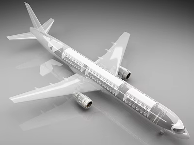 Airplane With Transparent Structure Showing Interior View 3d model