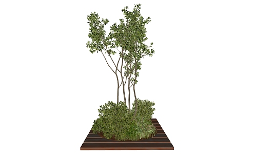 modern tree green plant landscape tree plant 3d model