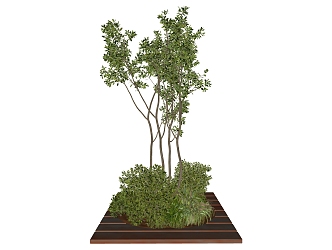 modern tree green plant landscape tree plant 3d model