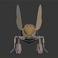 Gold and Black Ant With Wings Standing On Shiny Black Surface With Reflection