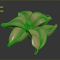 Flower Wild Flower Green Plant Flower Plant Realistic Model Cartoon Model PBR PBR Model 3d model