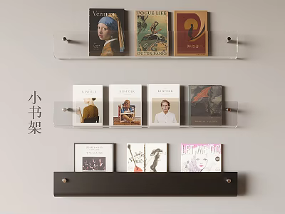 Modern Acrylic Bookshelf Transparent Bookshelf Magazine Rack Wall-mounted Acrylic Bookshelf Books, Books, Magazines and Publications 3d model