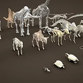 Various Animal Skeleton Models Including Giraffe Elephant Dinosaur And Bird 3d model