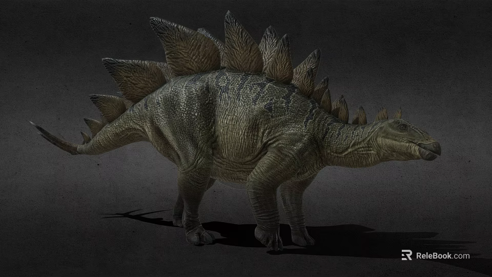 Realistic Stegosaurus Dinosaur Game Movie Character With Spiked Back And Detailed Skin 3d model 