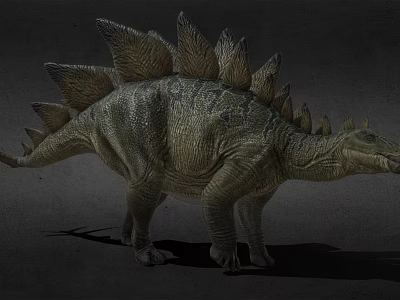 Realistic Stegosaurus Dinosaur Game Movie Character With Spiked Back And Detailed Skin 3d model
