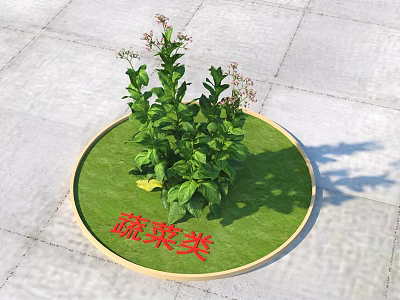 Green Vegetable Plants Growing In Circular Green Plot On Gray Stone Pavement With Red Characters 3d model