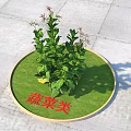 Green Vegetable Plants Growing In Circular Green Plot On Gray Stone Pavement With Red Characters
