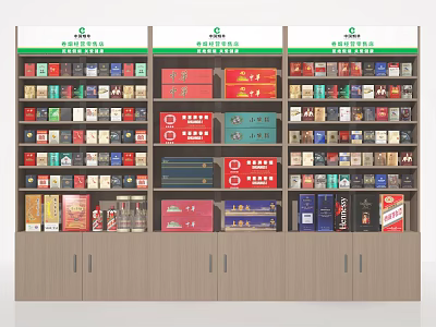 Organized Multi tiered Store Shelves Displaying Colorful Daily Necessities and Assorted Products 3d model