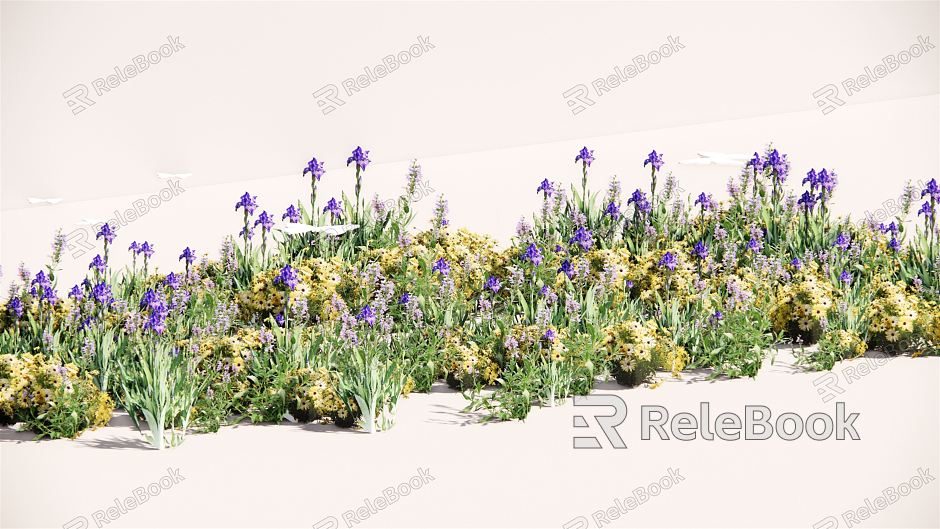 Modern Plant Flower Border Plant Group model