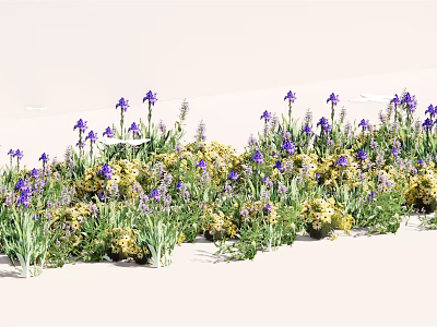 Gorgeous Purple Iris and Yellow Flowers Blooming in Vibrant Garden Bed 3d model