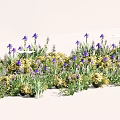 Gorgeous Purple Iris and Yellow Flowers Blooming in Vibrant Garden Bed