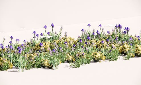 Modern Plant Flower Border Plant Group 3d model