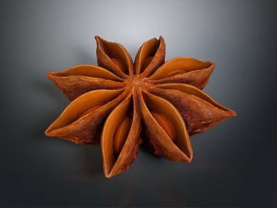 Whole Dried Star Anise Spice Pods with Brown Color and Intact Petals for Cooking 3d model