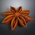 Whole Dried Star Anise Spice Pods with Brown Color and Intact Petals for Cooking