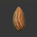 Close Up View Of Fresh Whole Almond With Natural Brown Striped Skin On Dark Background