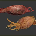 Modern Squid Cuttlefish 3d model