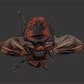 Modern fly insect cartoon fly animation fly anime fly anime character 3d model