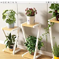 Diverse Bonsai Potted Plants On Wooden And White Plant Stands With Decorative Pots