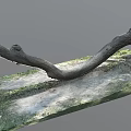 Natural Curved Wooden Log with Organic Shape on Grass Covered Ground