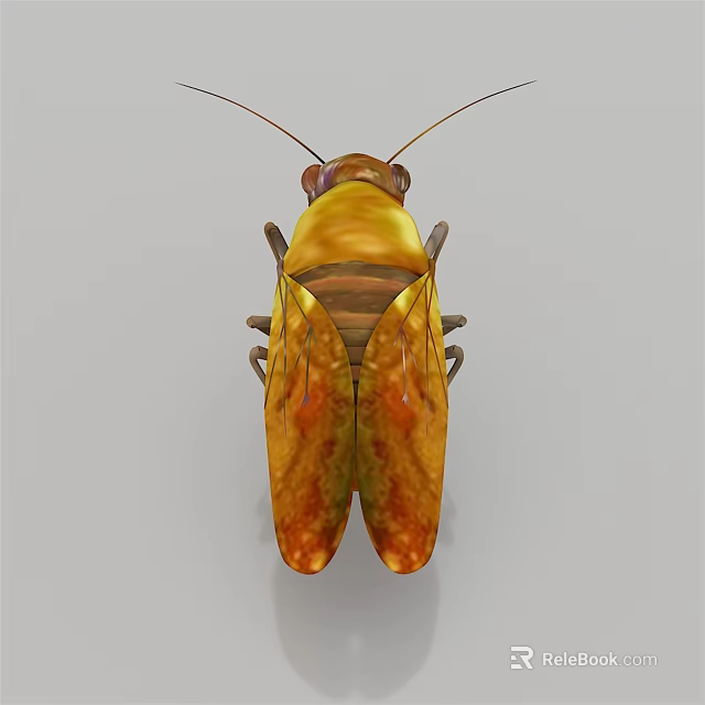 Brown and Yellow Winged Flying Insect With Detailed Body Structure and Shiny Exoskeleton 3d model 