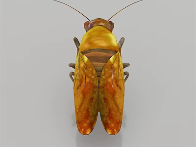 Brown and Yellow Winged Flying Insect With Detailed Body Structure and Shiny Exoskeleton 3d model