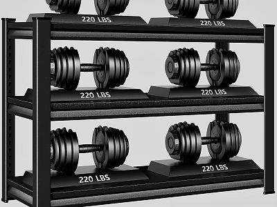 Black Multi Tier Dumbbell Rack With 220 LBS Weights And Organized Storage 3d model