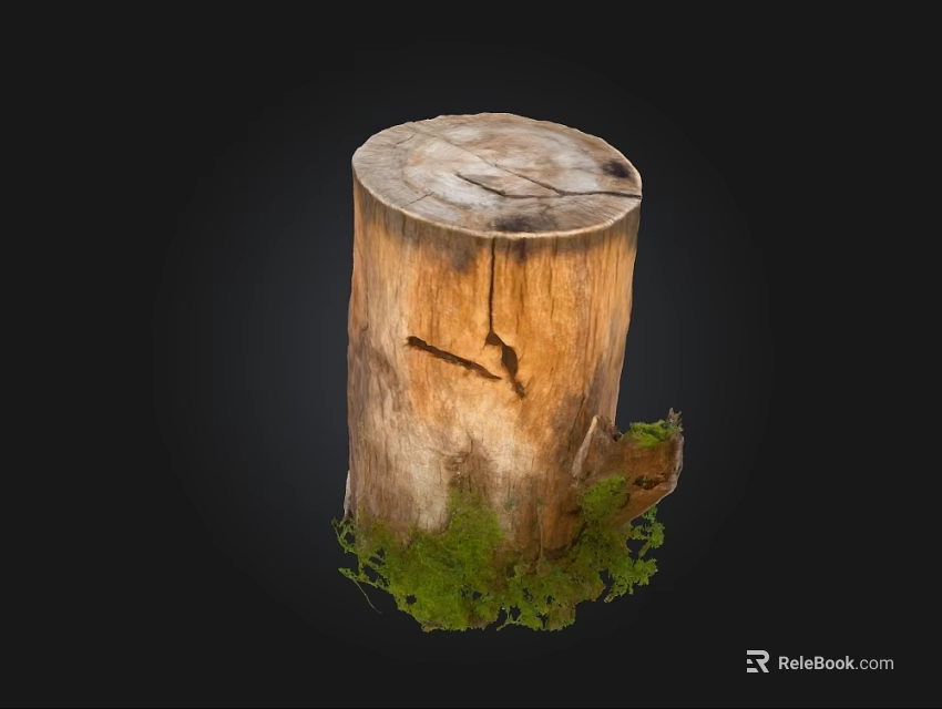 Natural Wood Tree Stump with Green Moss and Stone Accents 3d model 