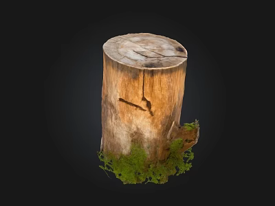 Natural Wood Tree Stump with Green Moss and Stone Accents 3d model