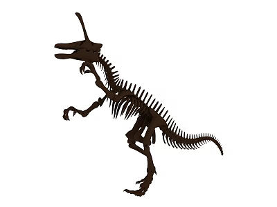 Ancient Reptile Skeleton Fossil Showing Prehistoric Long Skull and Vertebrae Structure 3d model