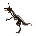 Ancient Reptile Skeleton Fossil Showing Prehistoric Long Skull and Vertebrae Structure