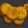 Modern mushroom straw mushroom poisonous mushroom plant 3d model