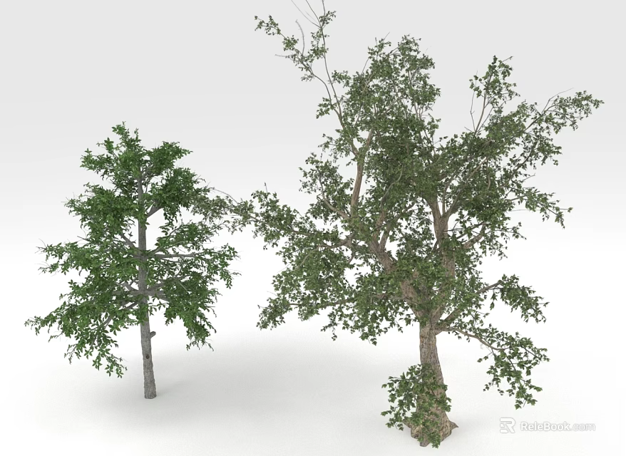 Two Green Leafy Trees With Different Trunk Sizes And Natural Foliage 3d model 