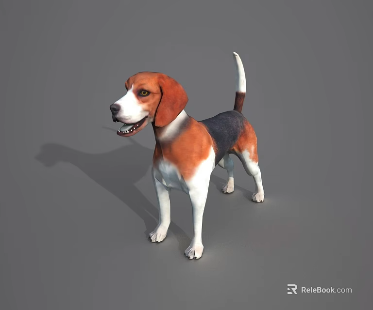 Tri Color Beagle Dog Standing On Gray Background With Shadow 3d model 