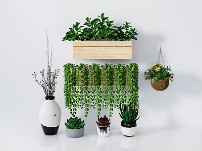 Bonsai and Potted Plants Indoor Display With Wooden Wall Planter Hanging Vines and Succulents 3d model