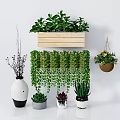 Bonsai and Potted Plants Indoor Display With Wooden Wall Planter Hanging Vines and Succulents