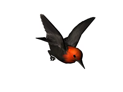Distinctive Flying Bird With Red Head Black Body And Spread Wings In Flight 3d model