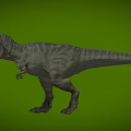 Realistic Detailed Tyrannosaurus Rex 3D Model Standing On Green Background